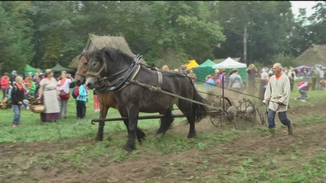 Muzeum w Ciechanowcu - "Jesień w polu i zagrodzie" - VIDEO