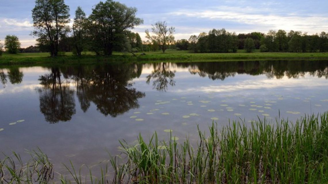 Na Narwi i Pisie po staremu Na Narwi i Pisie po staremu