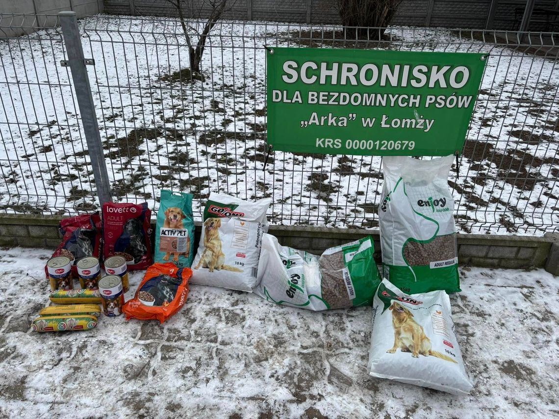 Napełnijmy brzuszki zwierzakom z łomżyńskiego schroniska