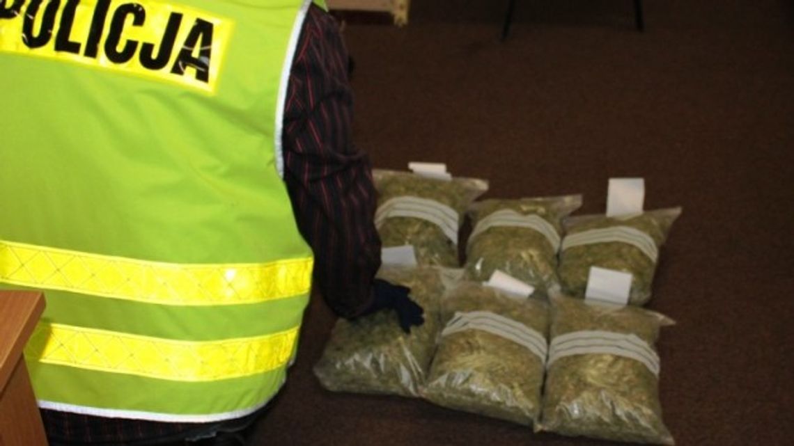 Narkotyki w BMW w Łomży Narkotyki w BMW w Łomży
