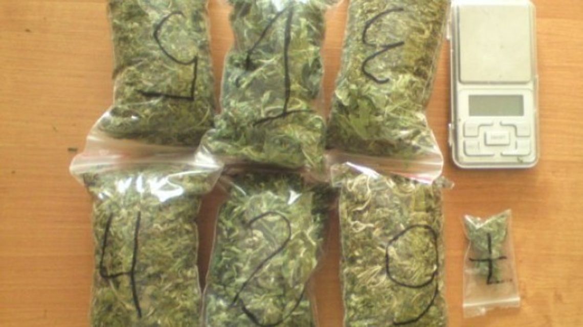 Narkotyki w mieszkaniu 31-latka