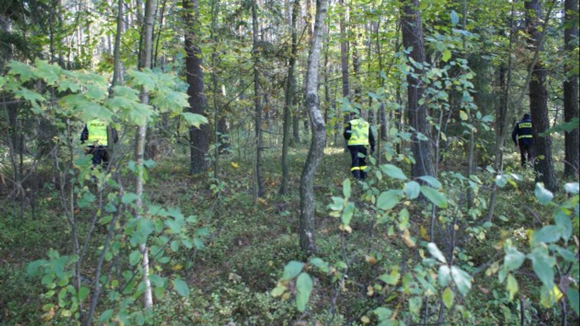 Niebezpieczna przygoda w lesie Niebezpieczna przygoda w lesie