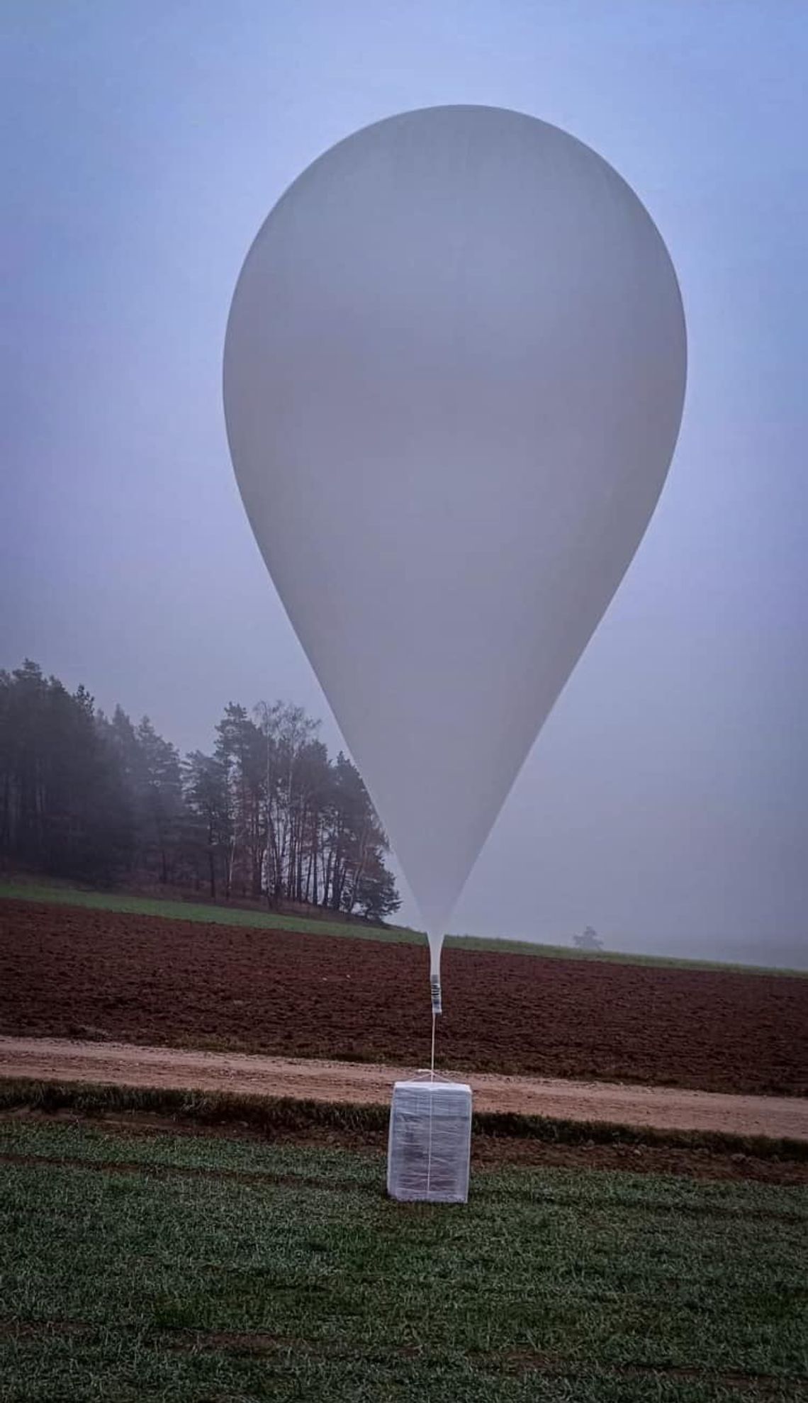 Nielegalna przesyłka nad Korycinem: Balon z papierosami wylądował w Szaciłówce