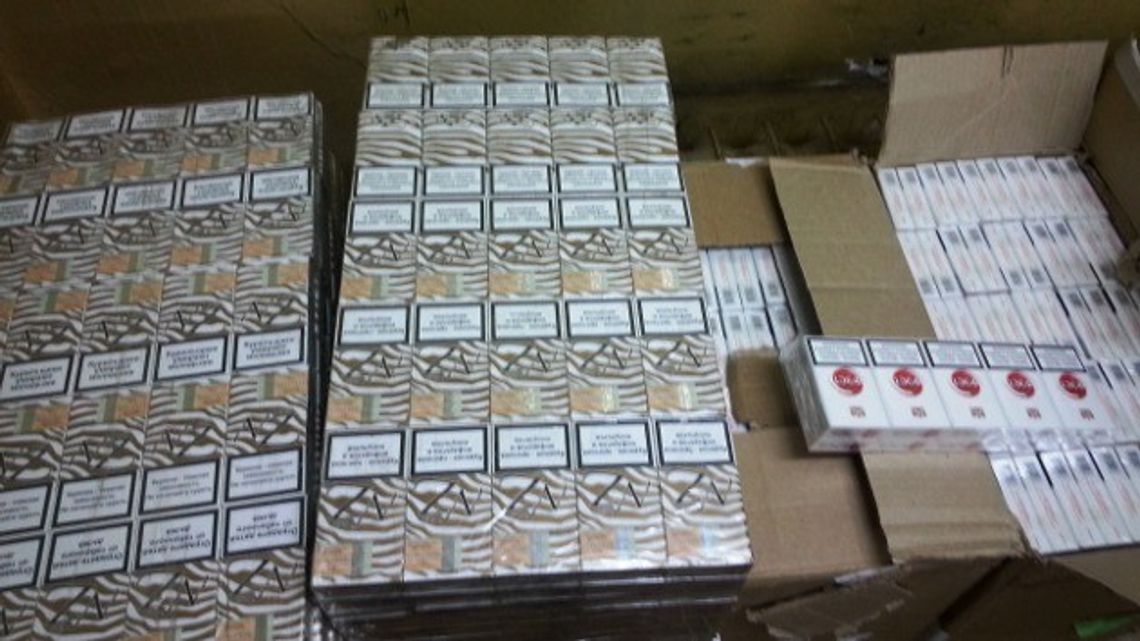 Nielegalne papierosy w Łomży Nielegalne papierosy w Łomży