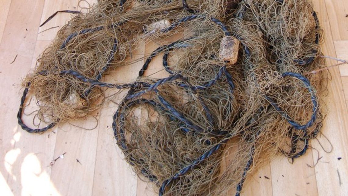 Nielegalny połów Nielegalny połów