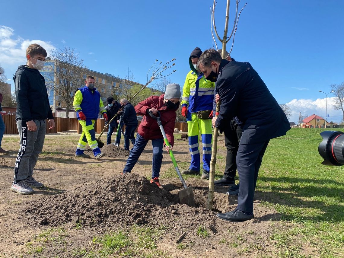 Nowy mini park  i drzewa z okazji Dnia Ziemi w Łomży - [VIDEO]
