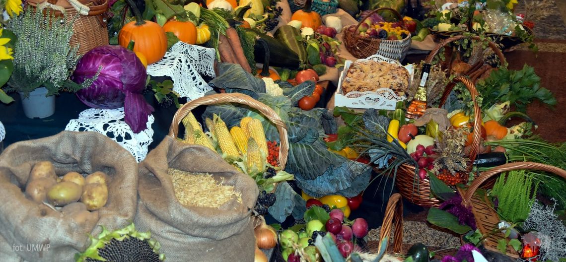 „Ogrody warzywne i bylinowe - zimowe przygotowania do wiosny” rozstrzygniecie oferty złożonej z pominięciem otwartego konkursu ofert