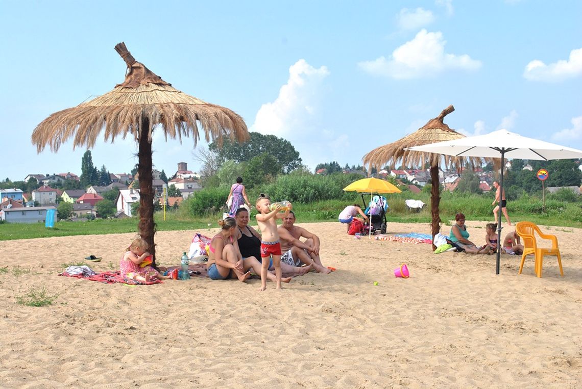 Parasolowe palmy na łomżyńskiej plaży :) - FOTO