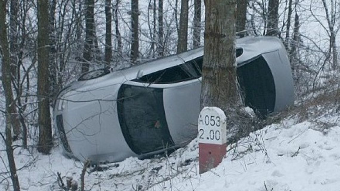 Passat wjechał do rowu