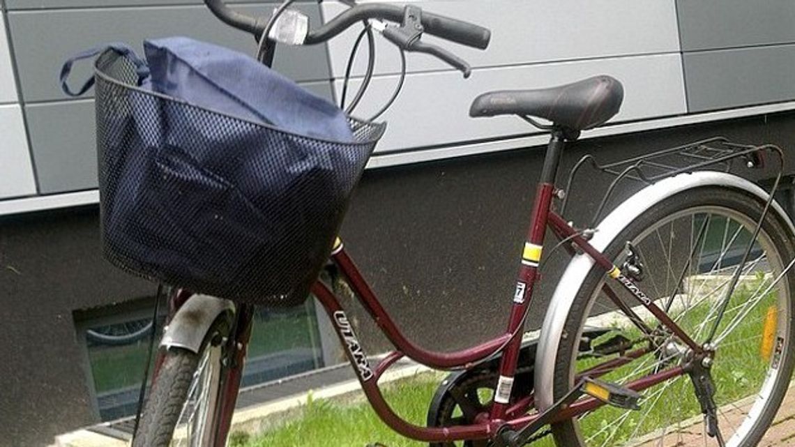 Pies doprowadził do złodziei roweru