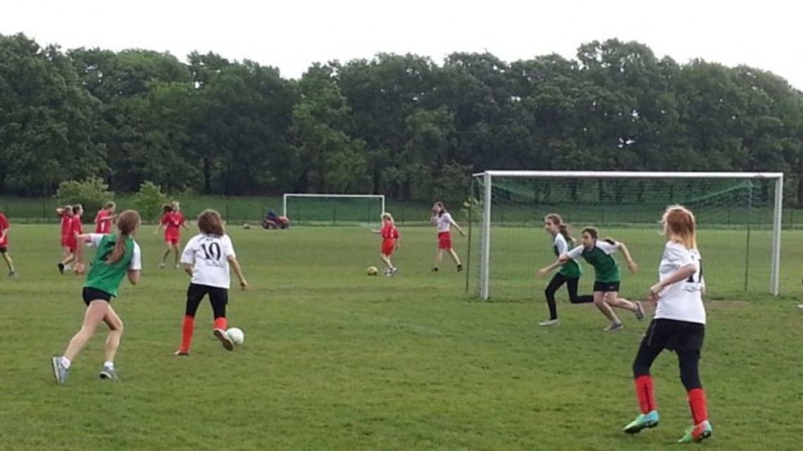 Pokopią o puchar Pokopią o puchar