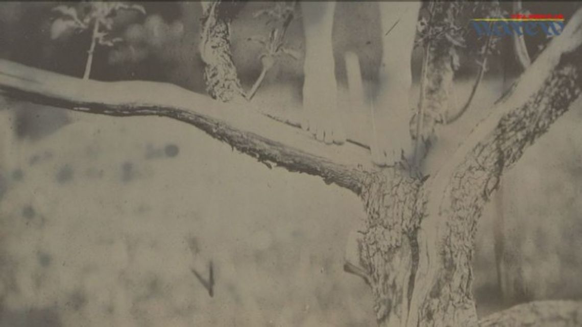 &quot;Powiedz życzenie&quot; Monika Kryszczyńska - wystawa - VIDEO