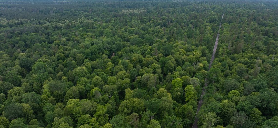 Przegadajmy Puszczę. Nowy cykl edukacyjny