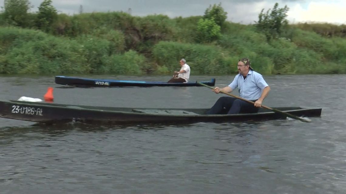 Pychówki i grillowane pychoty nad Narwią - VIDEO