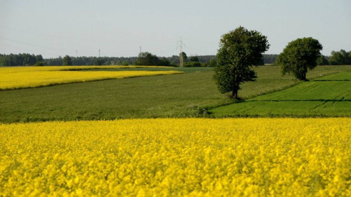 Stawiamy na młodych. W rolnictwie 