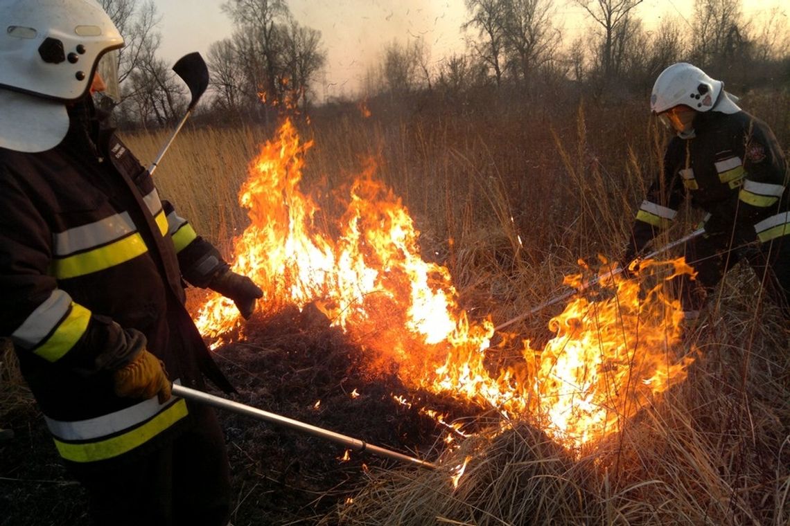 "STOP pożarom traw!" - apel strażaków - VIDEO "STOP pożarom traw!" - apel strażaków - VIDEO