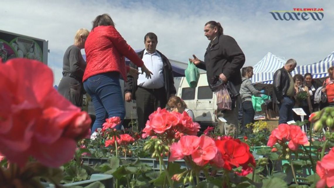 Targi Ogrodnicze w Szepietowie