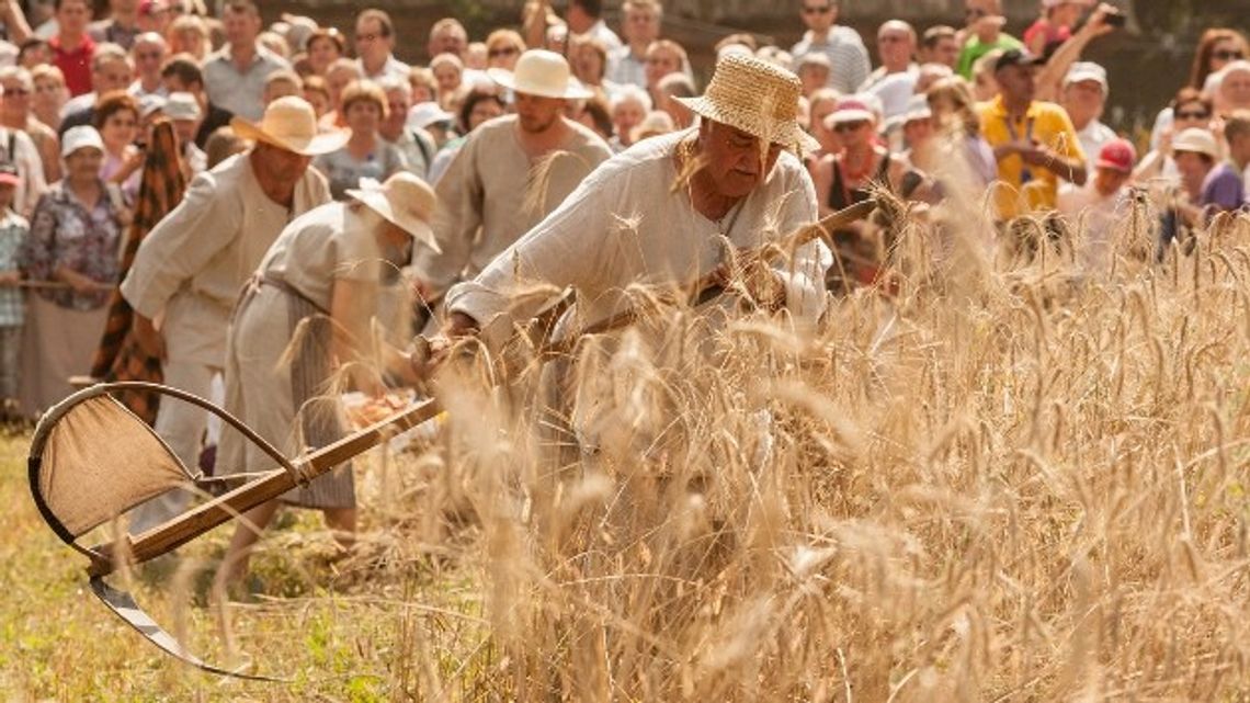 Trzynaste Święto Chleba w Ciechanowcu za nami Trzynaste Święto Chleba w Ciechanowcu za nami