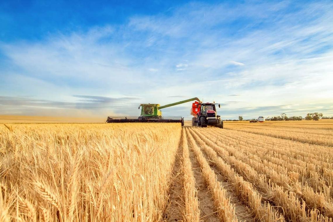Wojna destabilizuje rynek zbóż. To oznacza tylko jedno: podwyżki cen