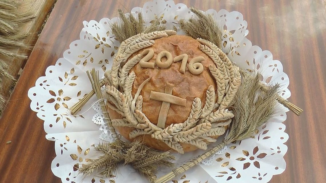 XVI Podlaskie święto chleba - VIDEO