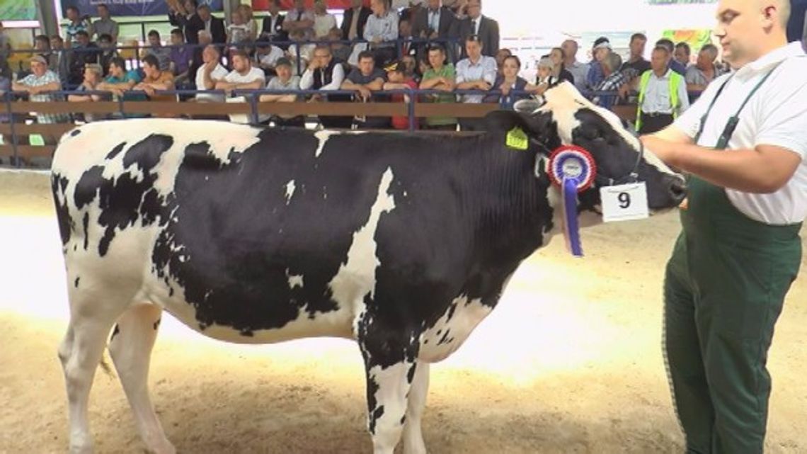 XXII Regionalna Wystawa Zwierząt Hodowlanych w Szepietowie