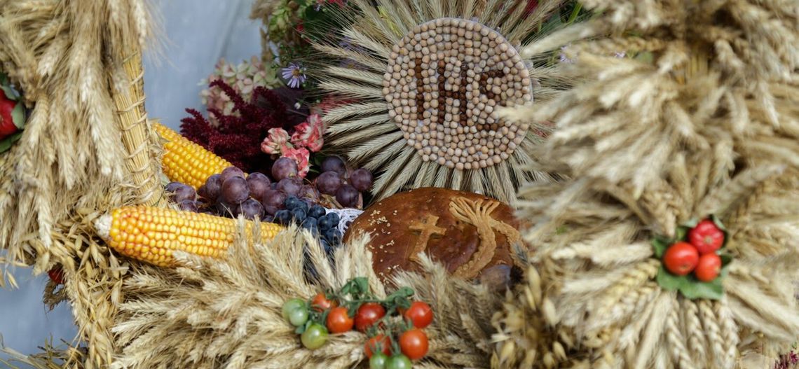 Zarząd Województwa Podlaskiego ogłasza konkursy o tematyce dożynkowej podczas Dożynek Wojewódzko – Diecezjalnych 2025 w Małym Płocku.