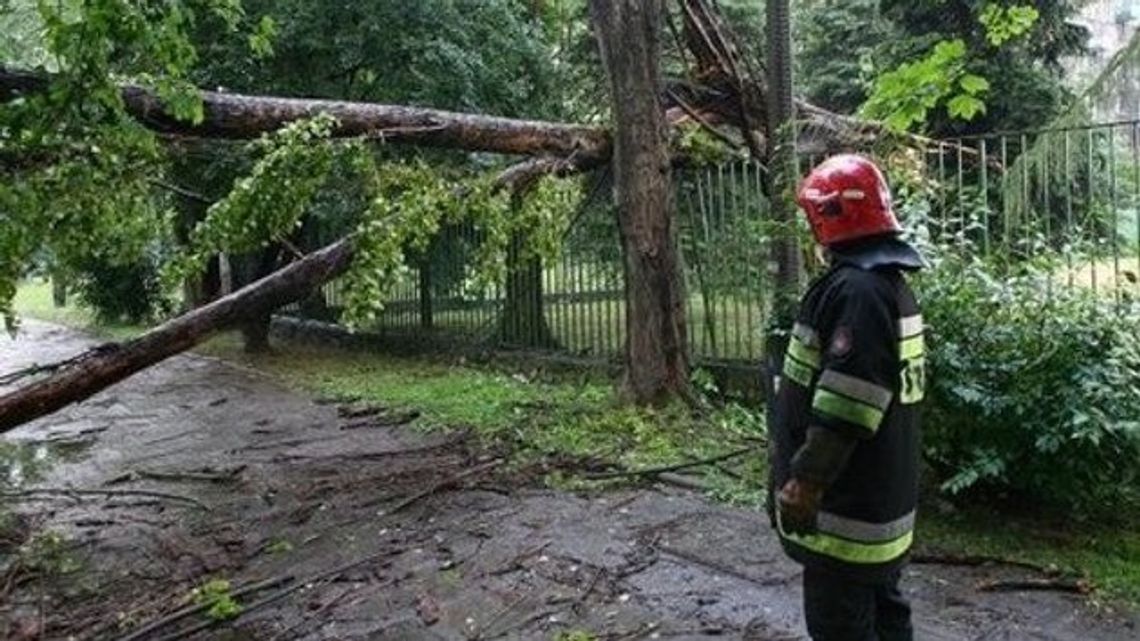 Zasiłki dla poszkodowanych przez nawałnice.