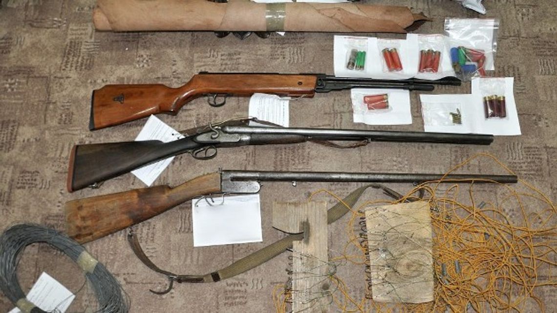 Zatrzymani kłusownicy Zatrzymani kłusownicy