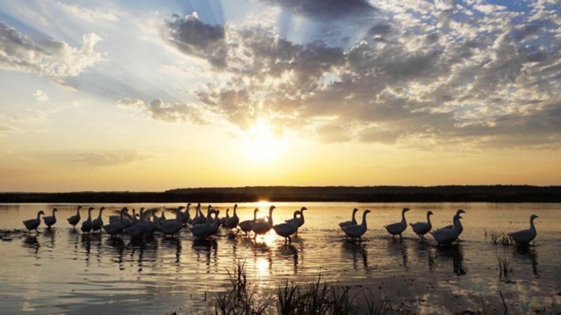 Zdjęcia Łomżyńskiego Środowiska Fotograficznego w Ostrołęce