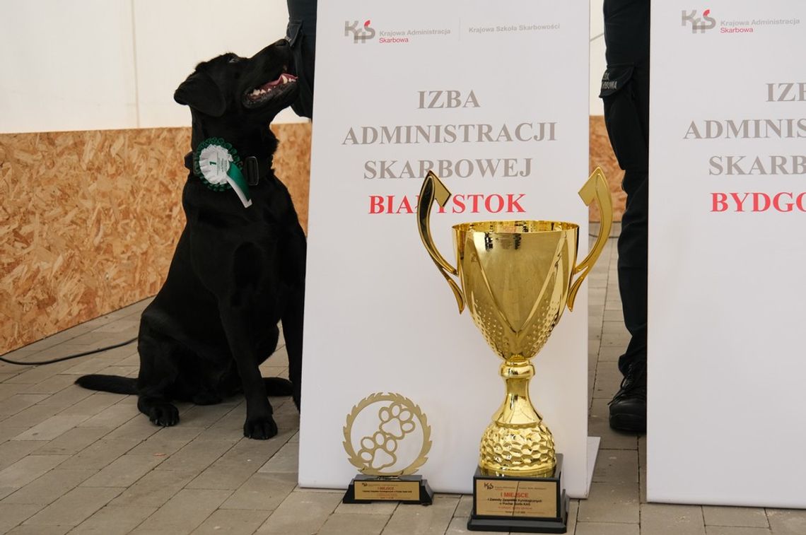 Zespół kynologiczny z podlaskiej KAS najlepszy w Polsce!