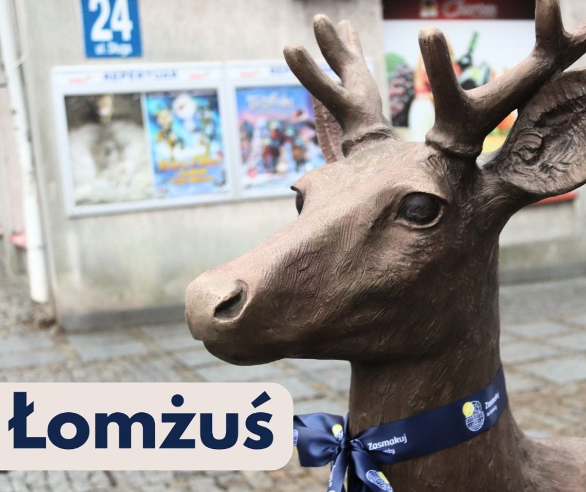 Znamy imię łomżyńskiego jelonka!