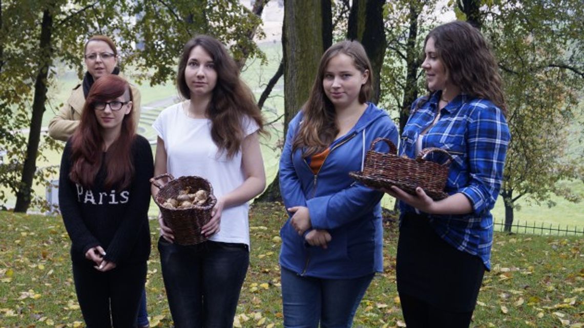 Żonkilowa nadzieja - FOTO Żonkilowa nadzieja - FOTO