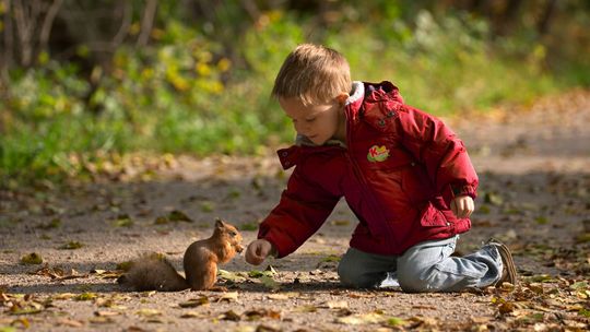 Ponad 1000 przedszkoli w województwie mazowieckim uczy dzieci jak dbać o naturę 